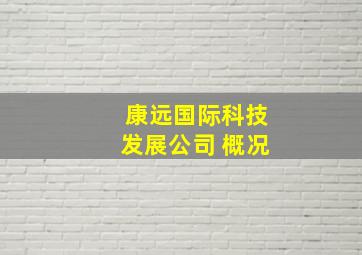 康远国际科技发展公司 概况